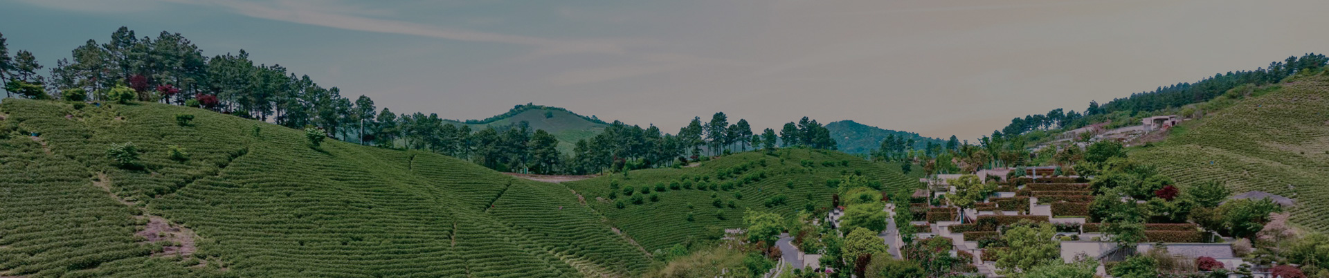 陵园简介