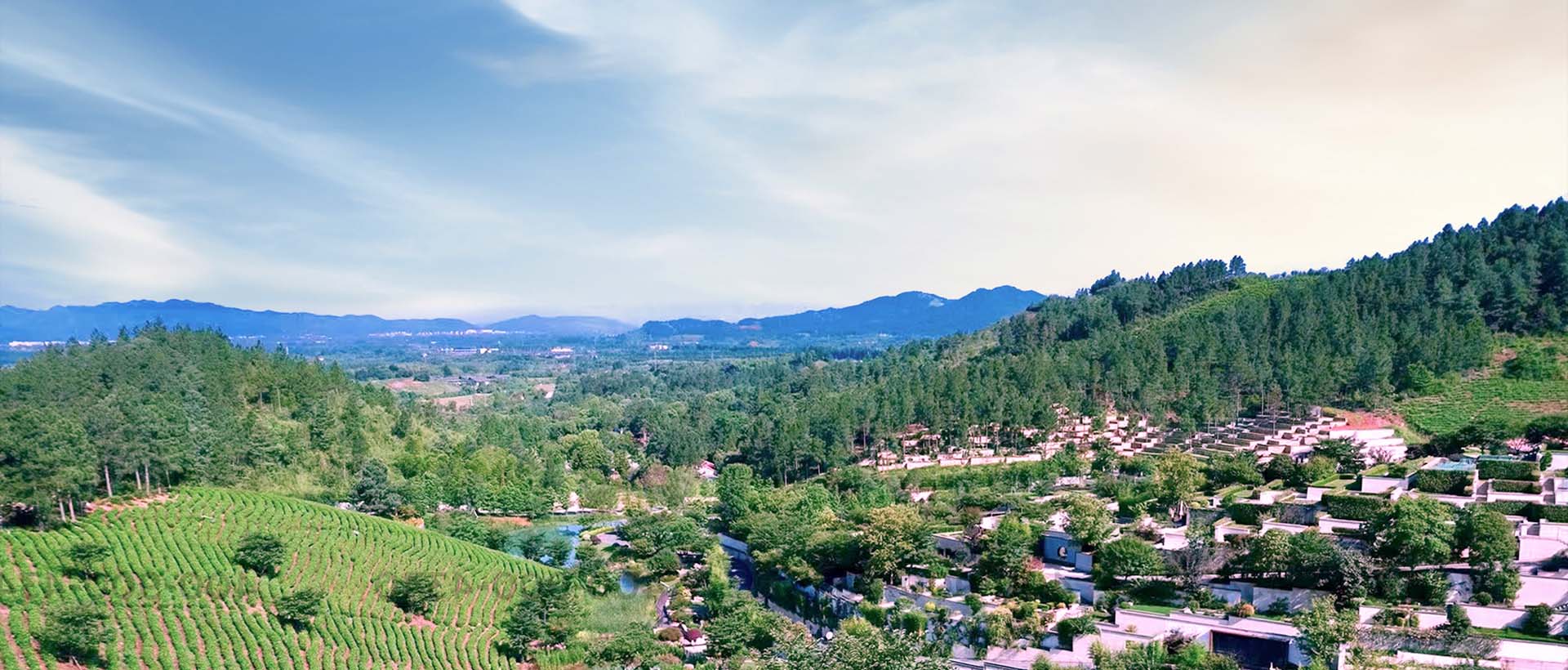 安吉龙山源陵园